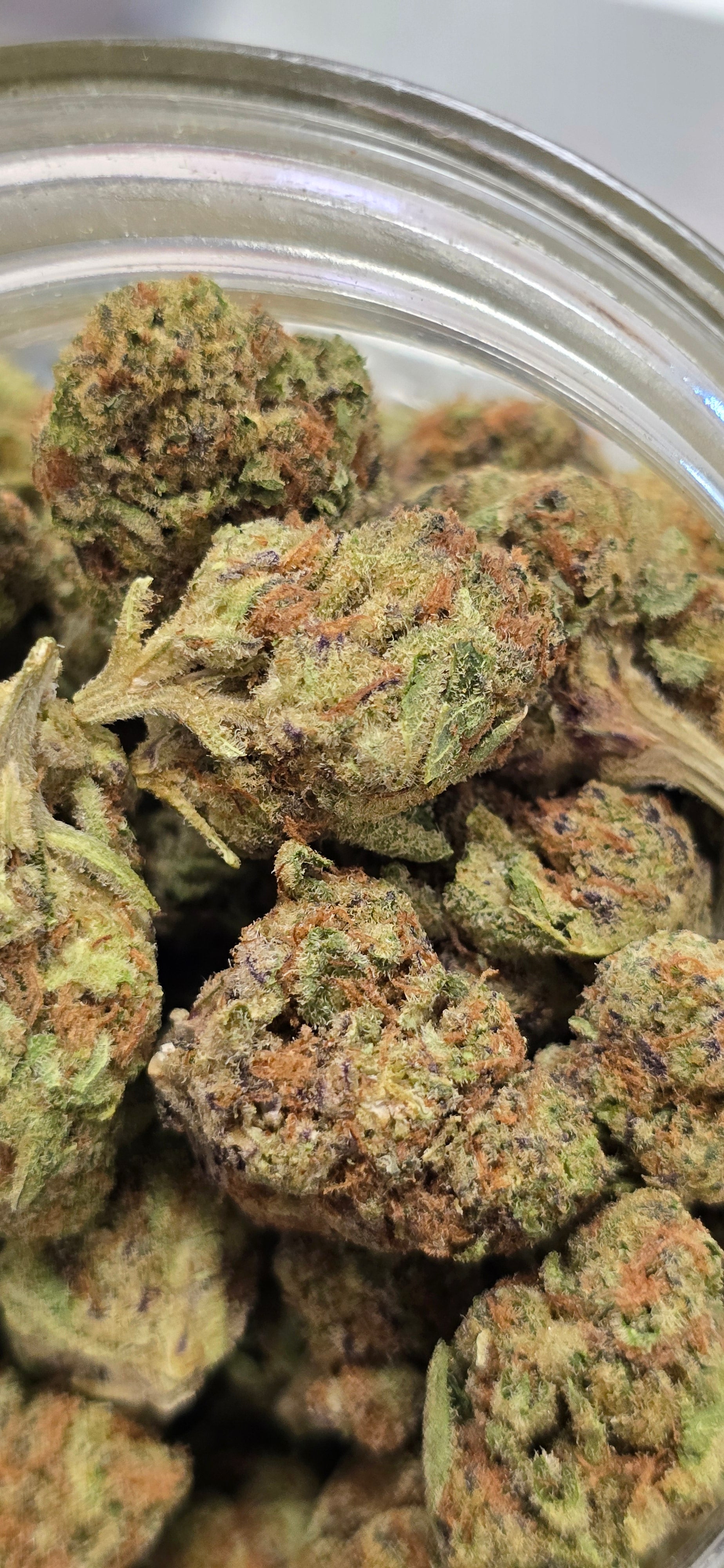 AAA+ Indoor THC-A Flower  ( Hybrid )