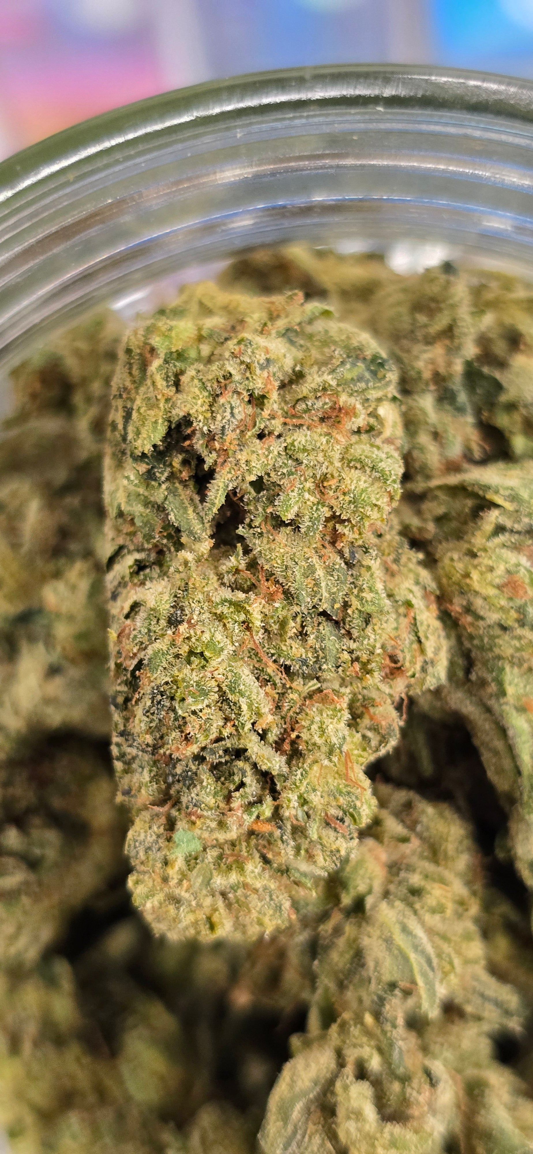 AAA+ Indoor THC-A Flower  ( Sativa )