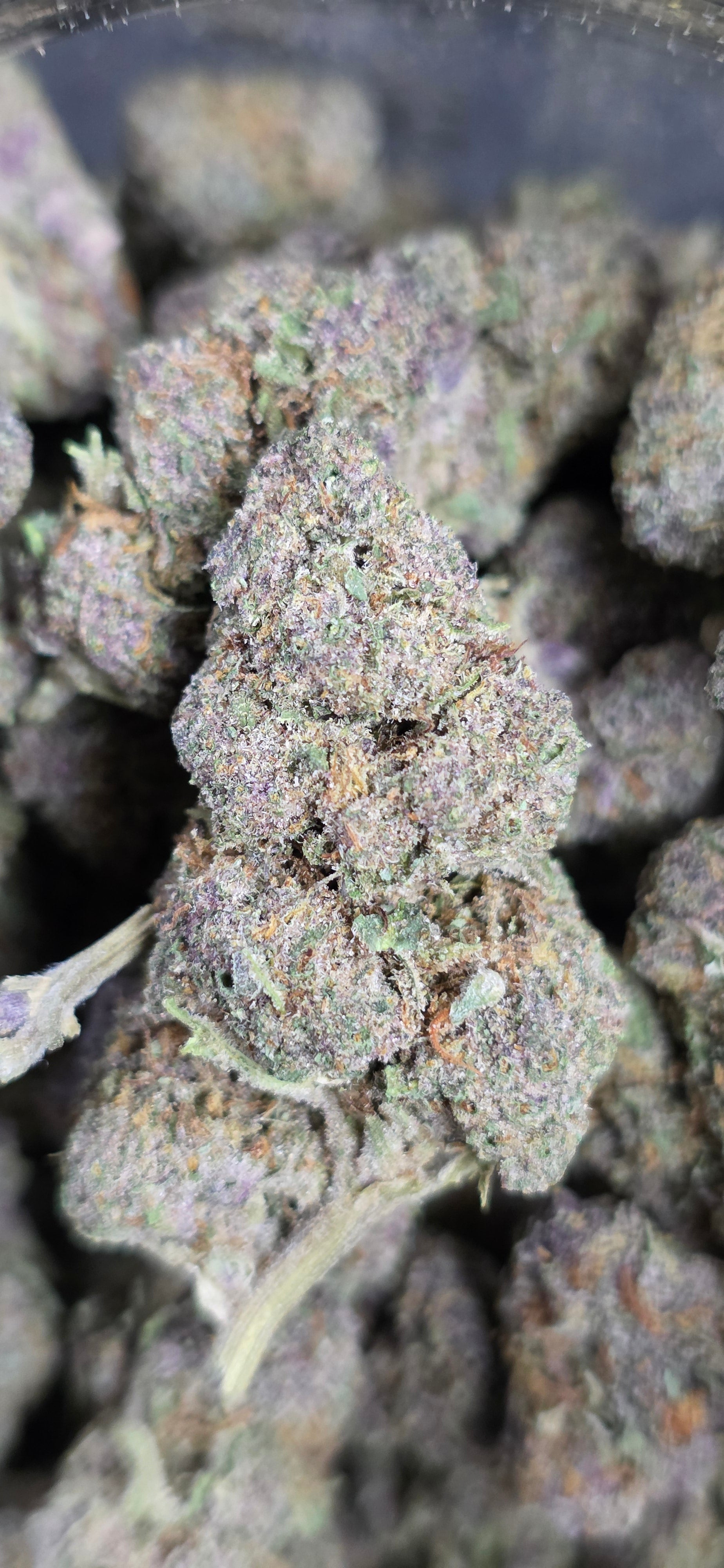 AAA+ Indoor THC-A Flower  ( Indica )
